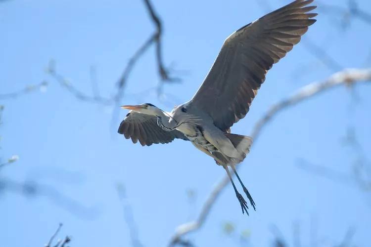 Apartments Rekowo 30 qm - Zones été à 1 km