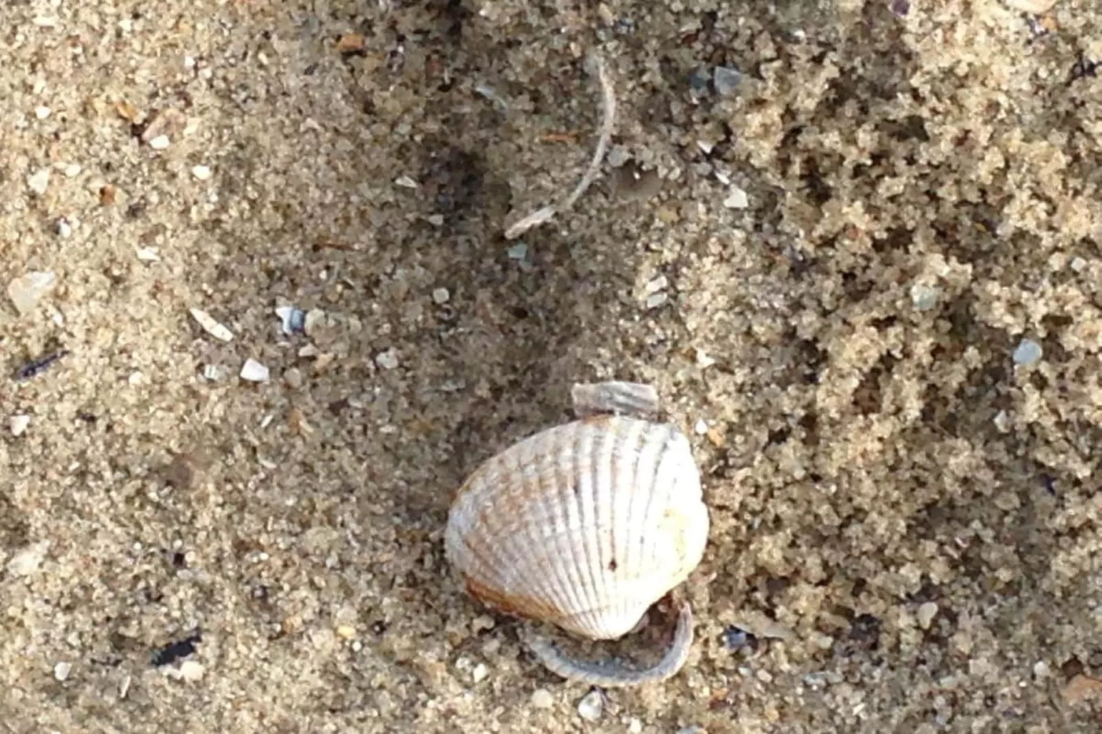 111107-Areas within 5km in summer