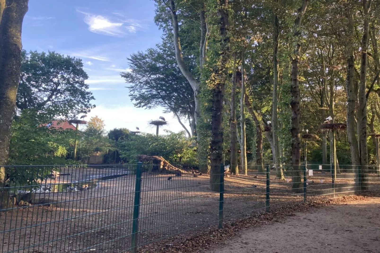 94531-Gardens in summer