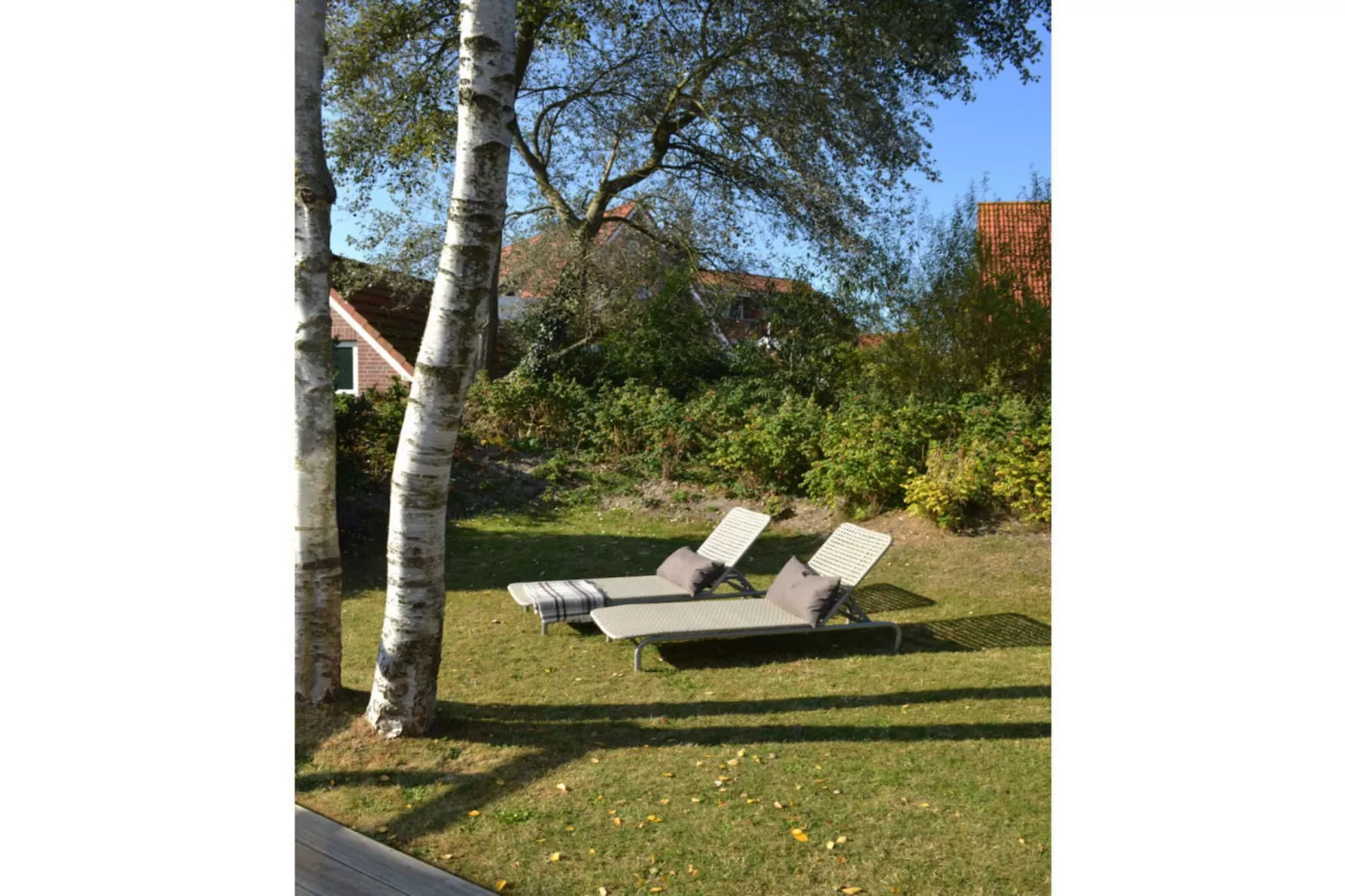 94185-Jardins en été