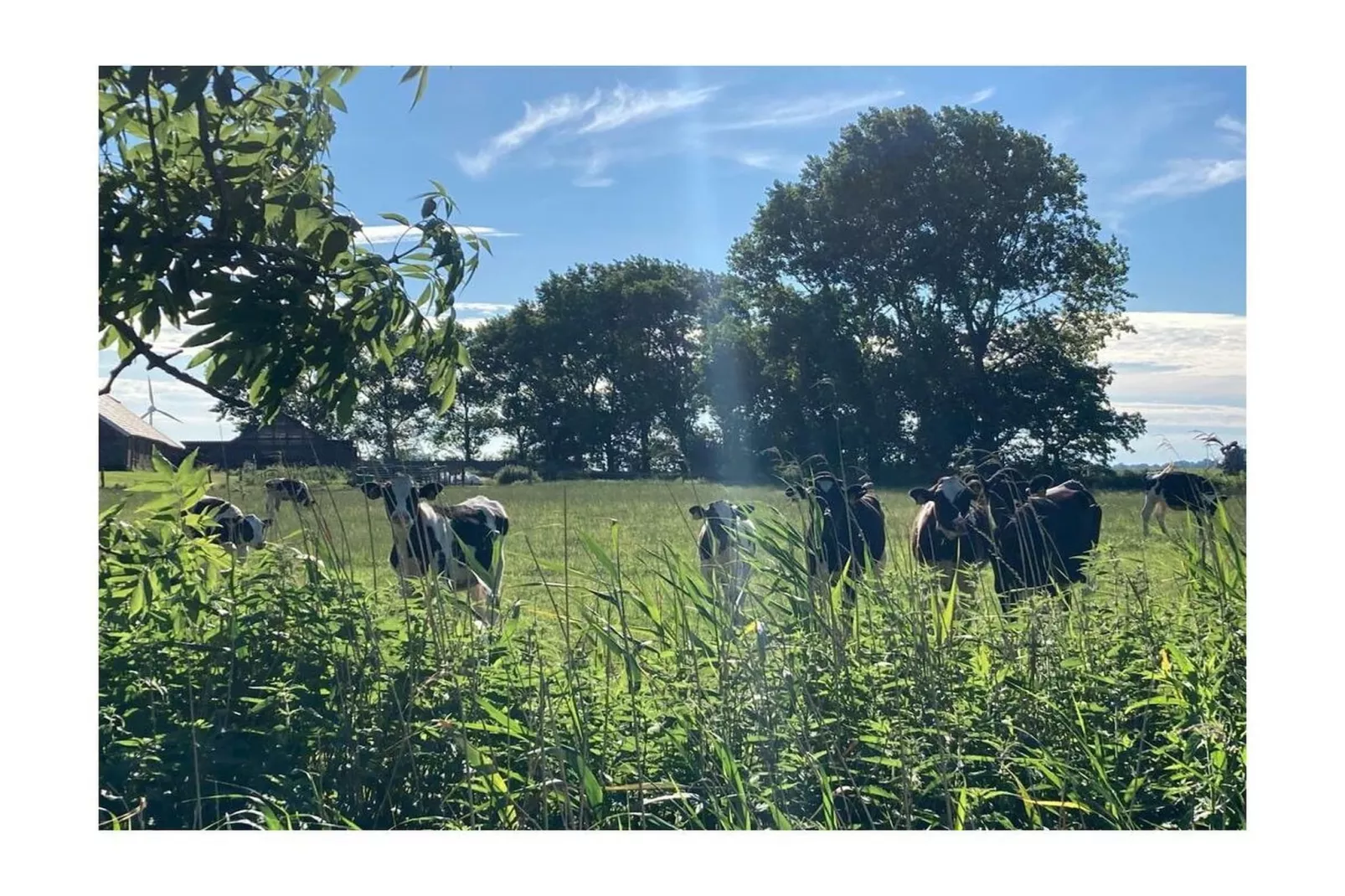 389318-Areas within 5km in summer