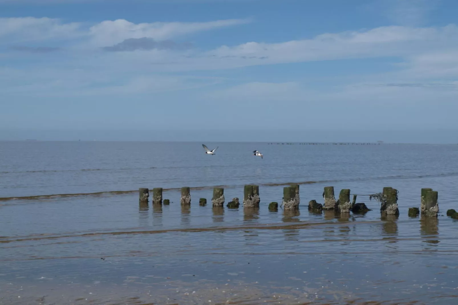 185172-Gebiete Sommer 5 km