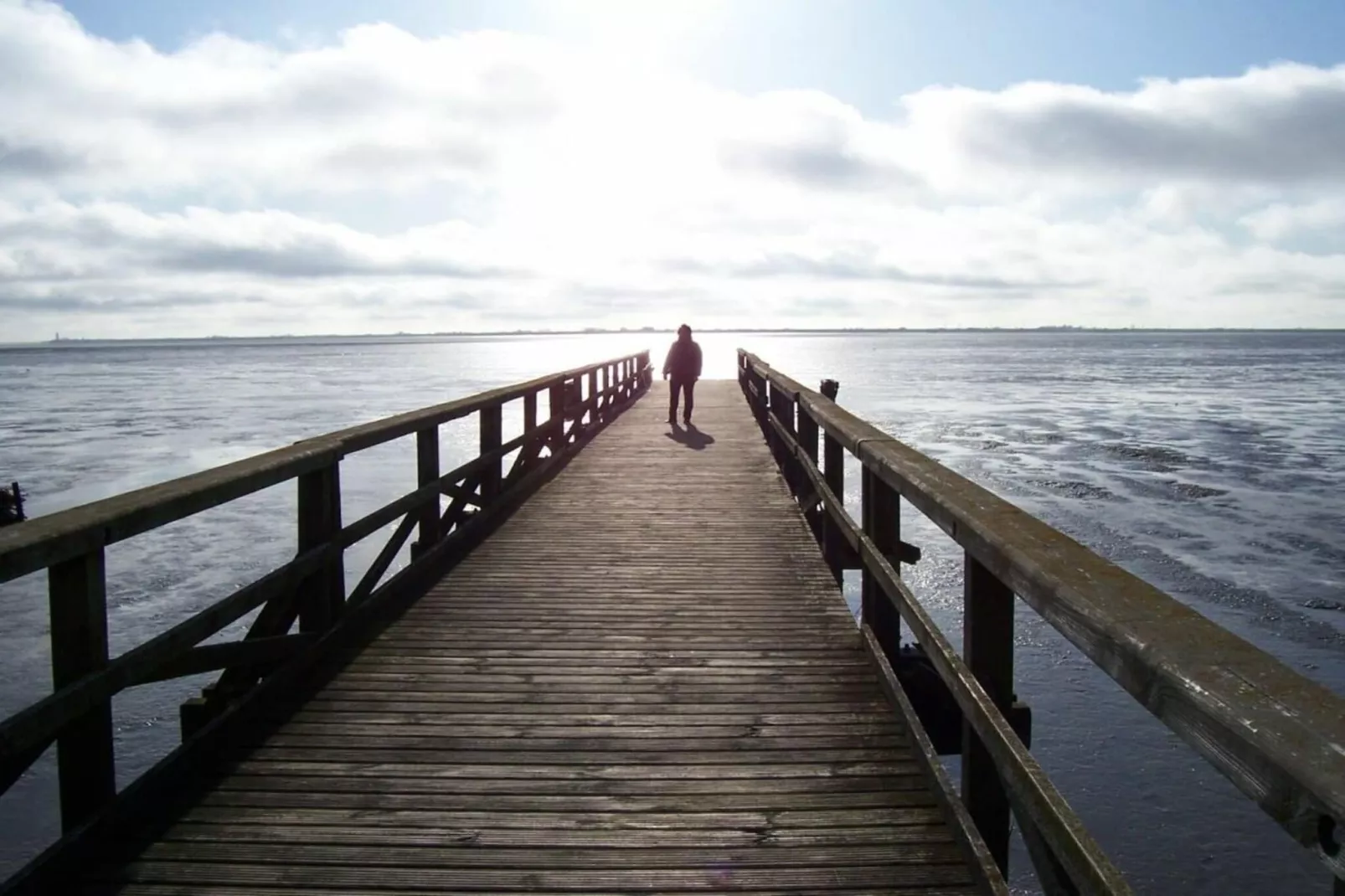 9376-Areas within 1km in summer