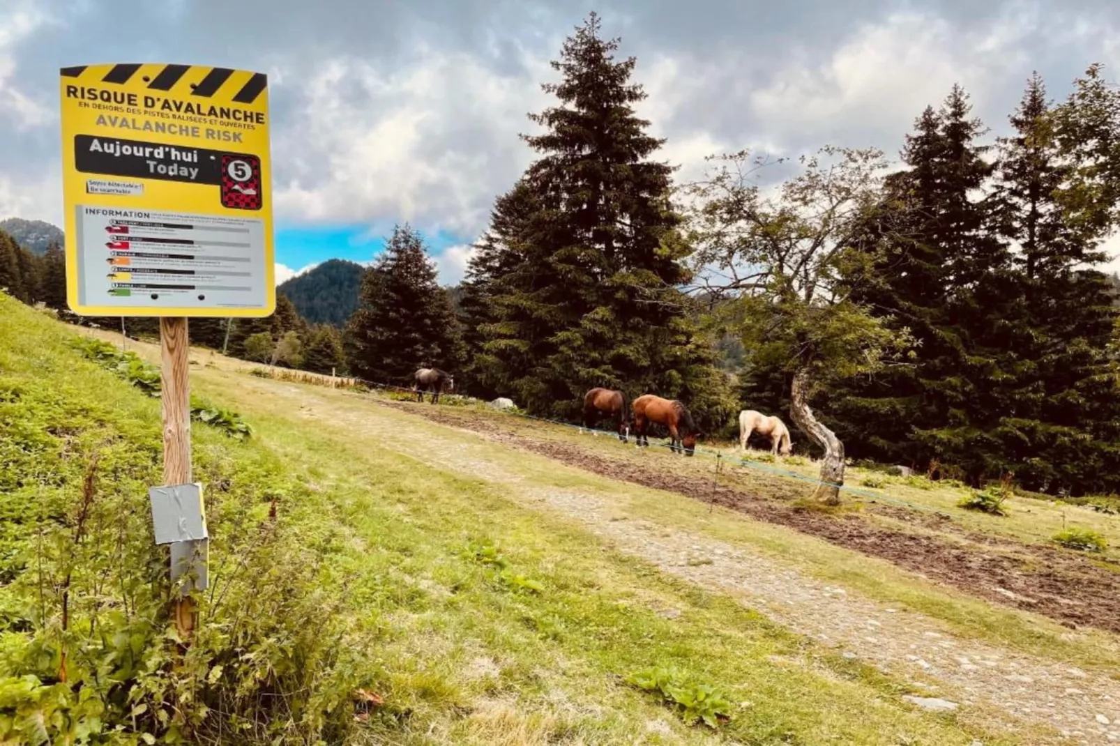 Le Vernon N°721 - ST4-Areas within 5km in summer