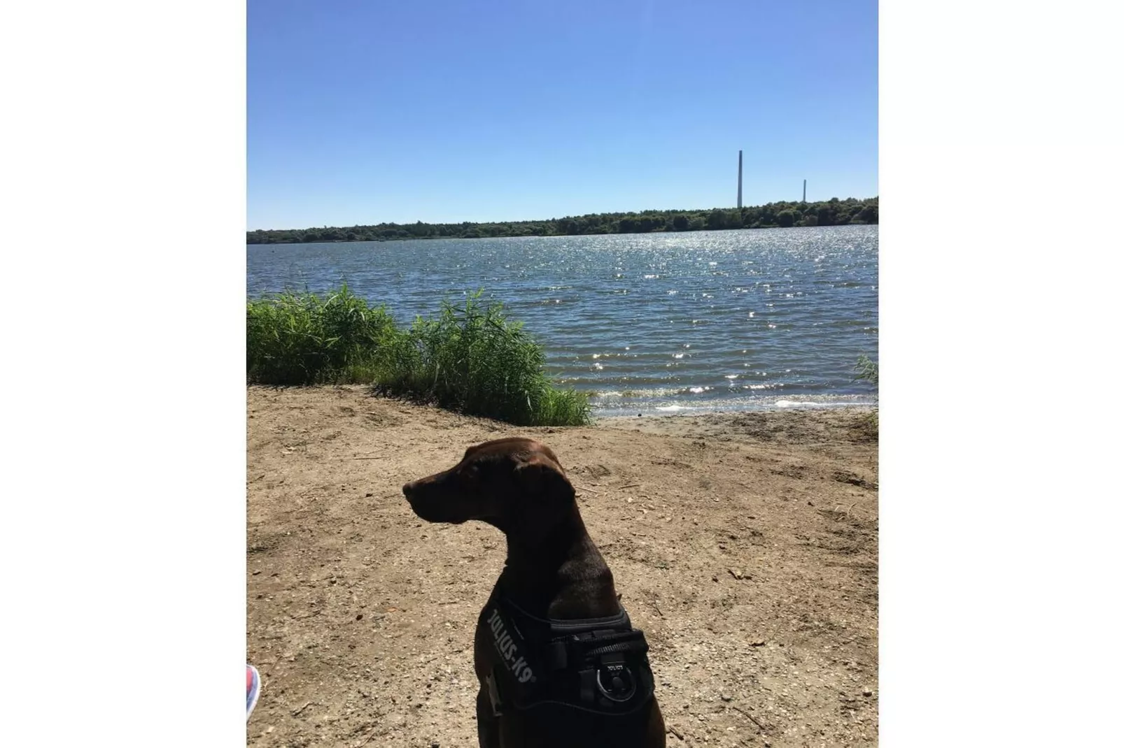 441154-Zones été à 5 km