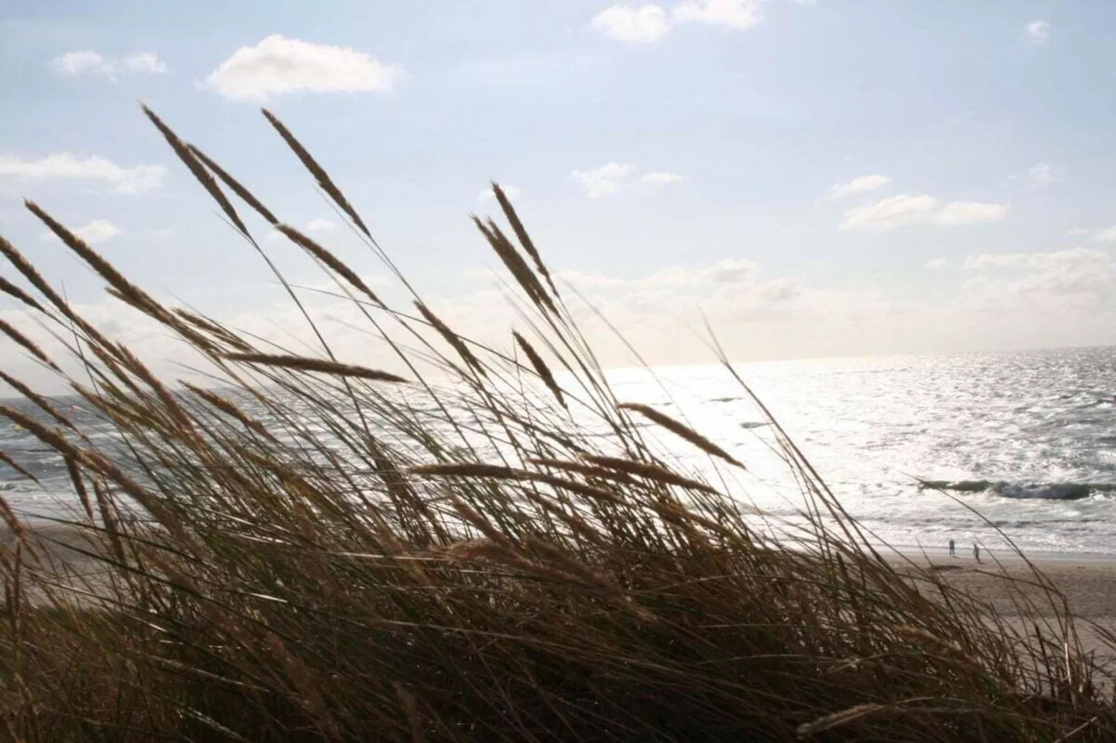 283745-Image-tags.water view