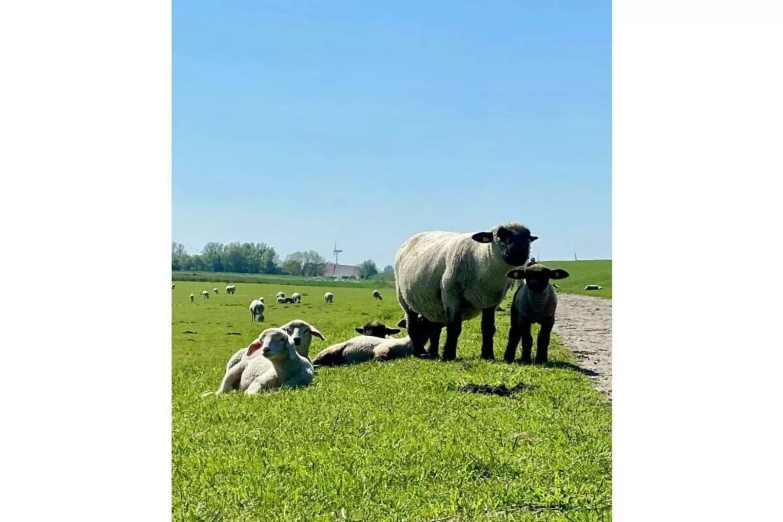 165895 - Gebiete Sommer 5 km