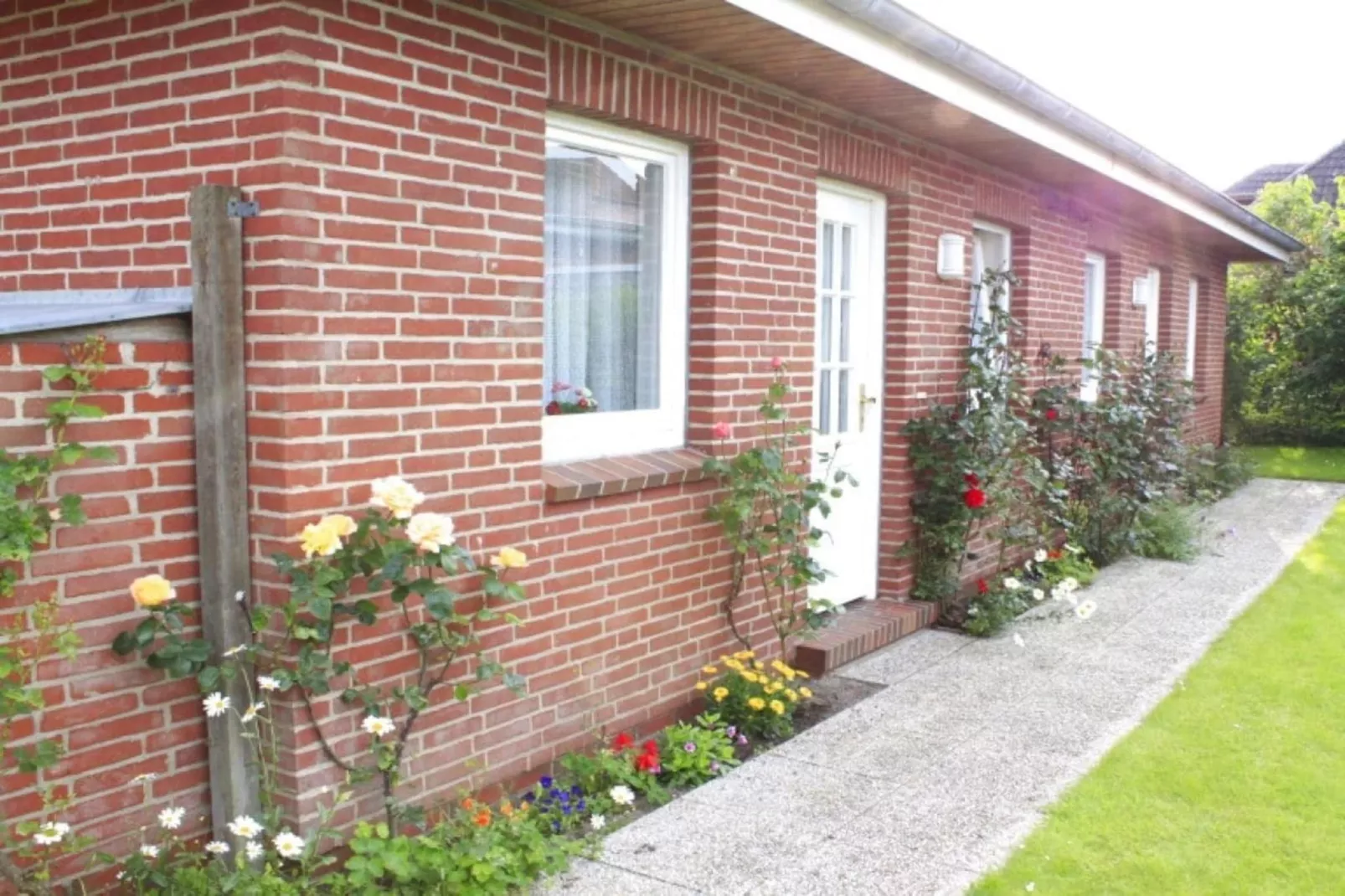 4627-Außenbereich Sommer