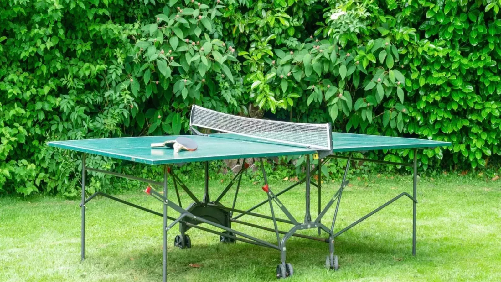 Wellnesshuisje Engelse Tuin-équipements