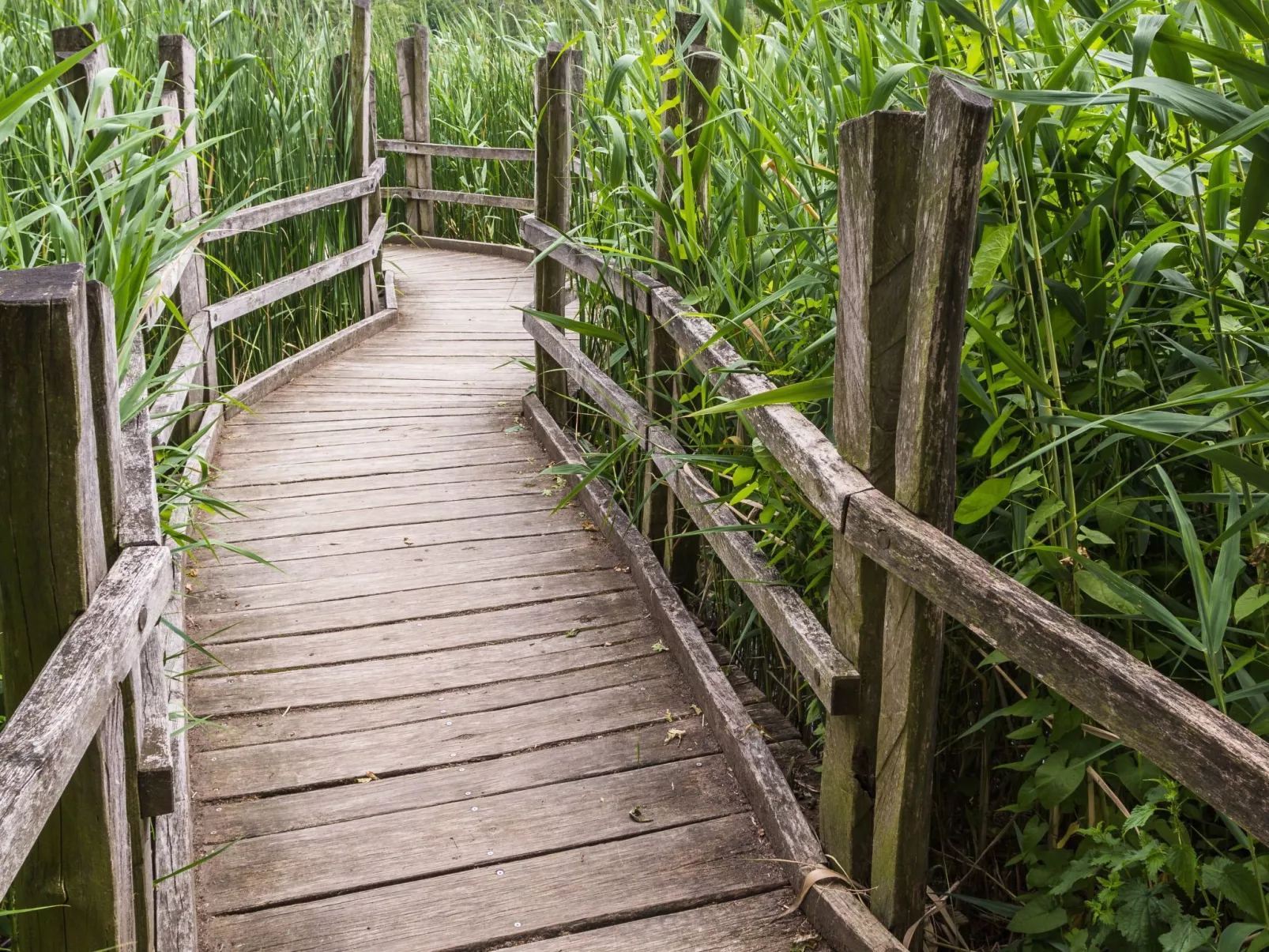 Mit Fasssauna-Dehors