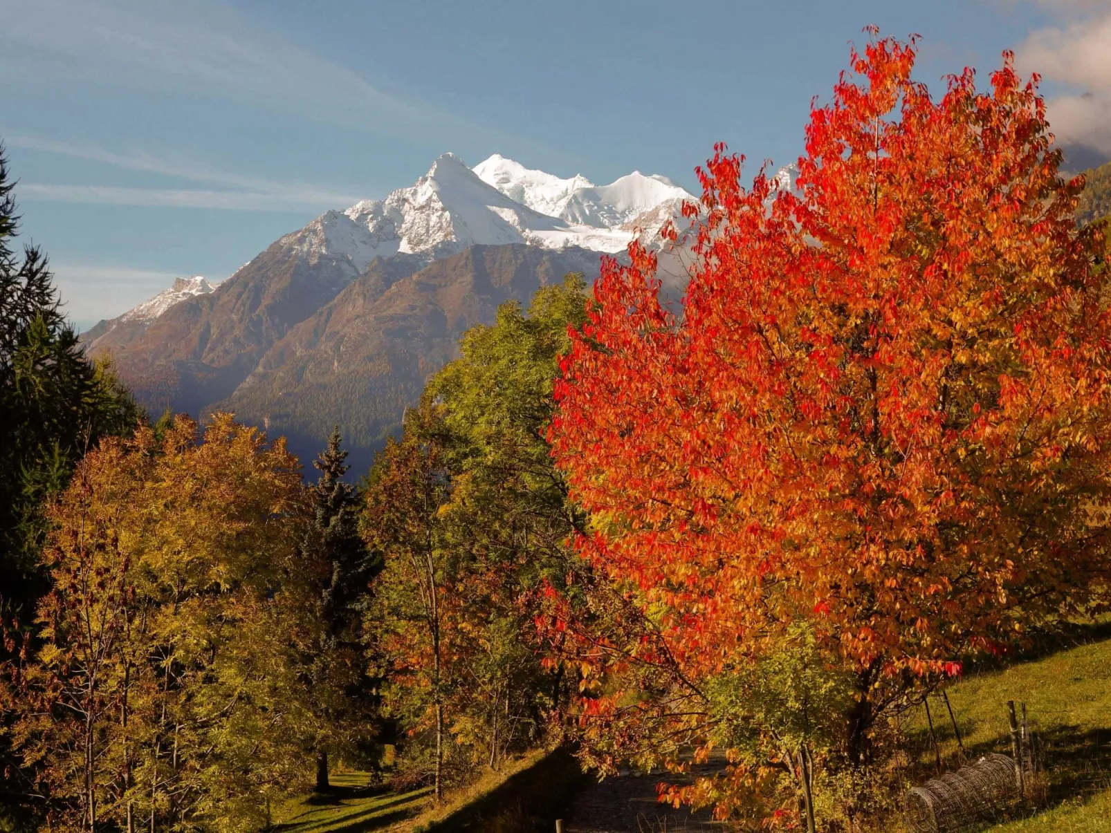 Chalet 1679 - Outside