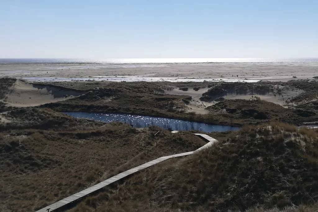 205663-Nicht zugeordnet