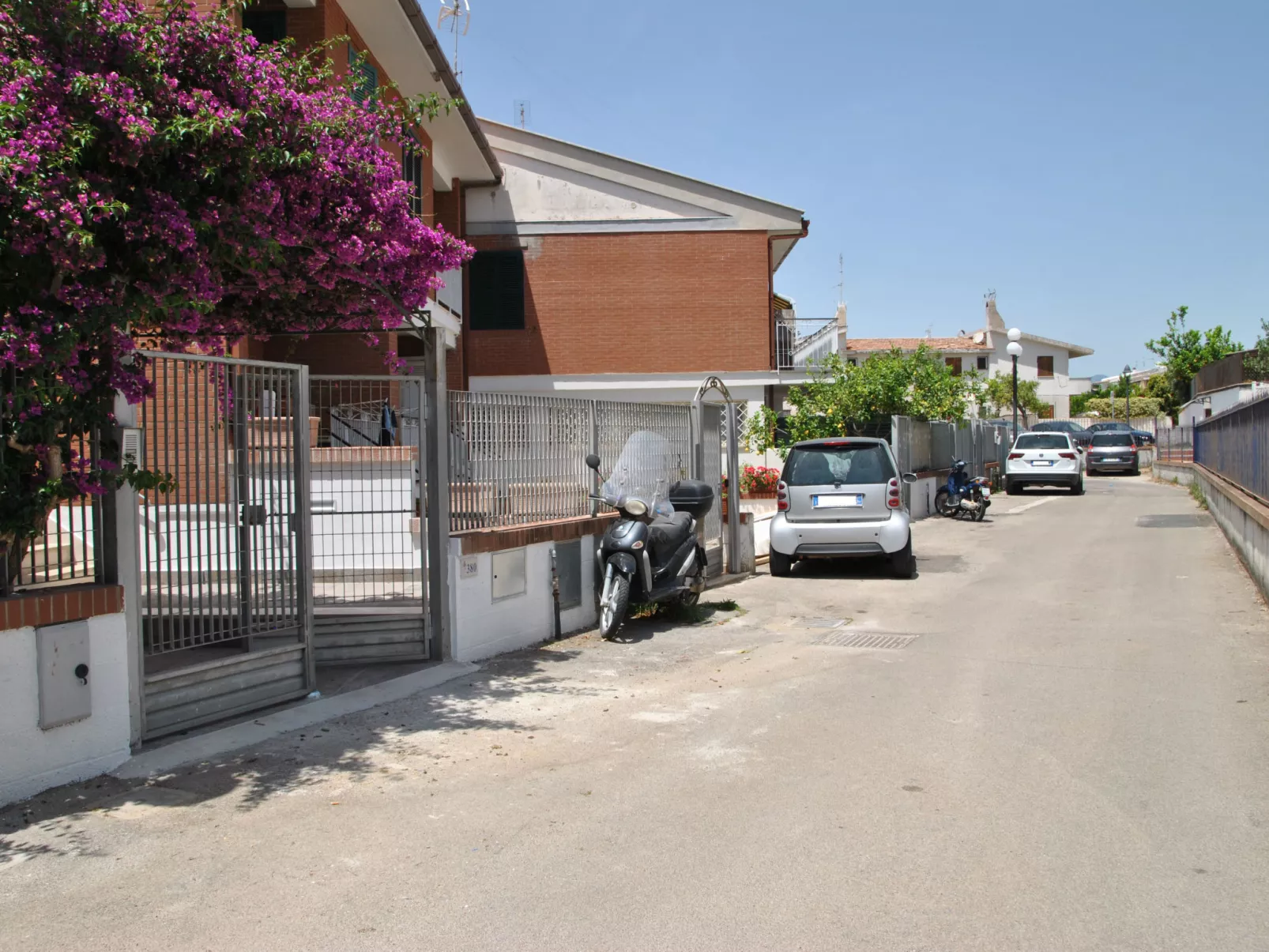 Bouganville - Draußen