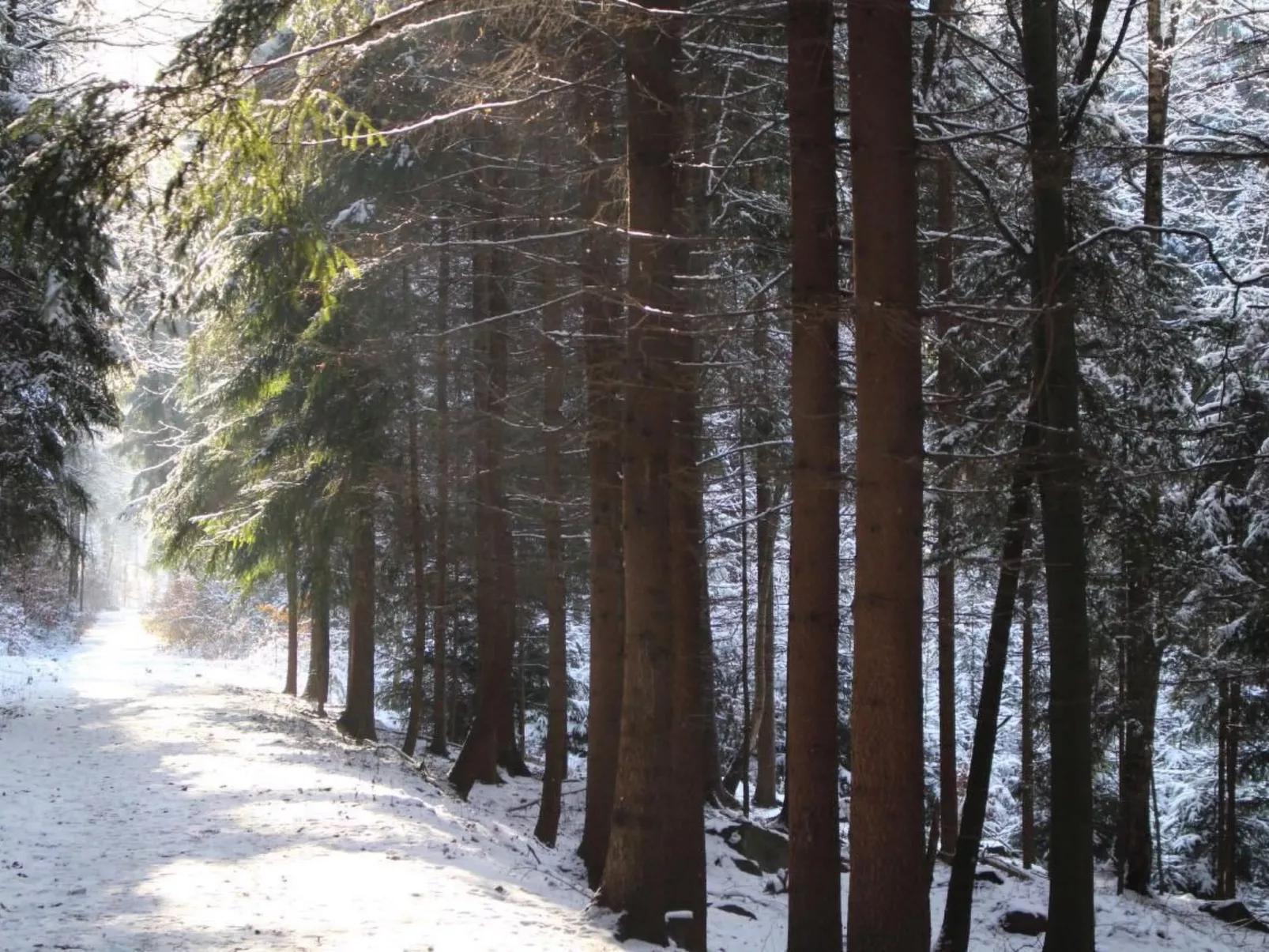 Jägerhaus - Image-tags.info