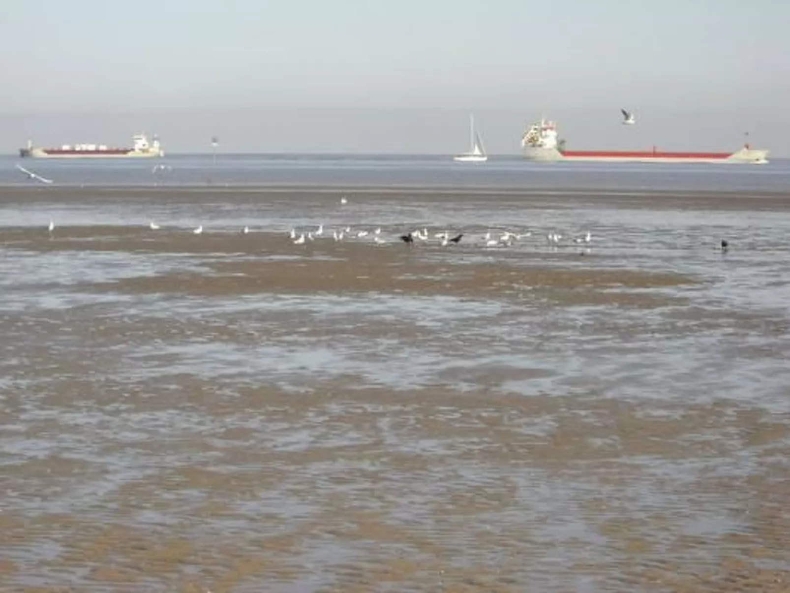 Haus Seehund - Image-tags.info