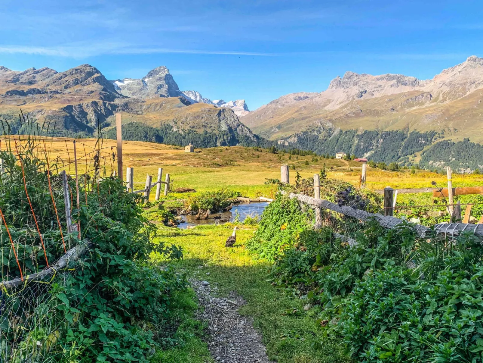 Mit Blick in die Berge - Image-tags.info