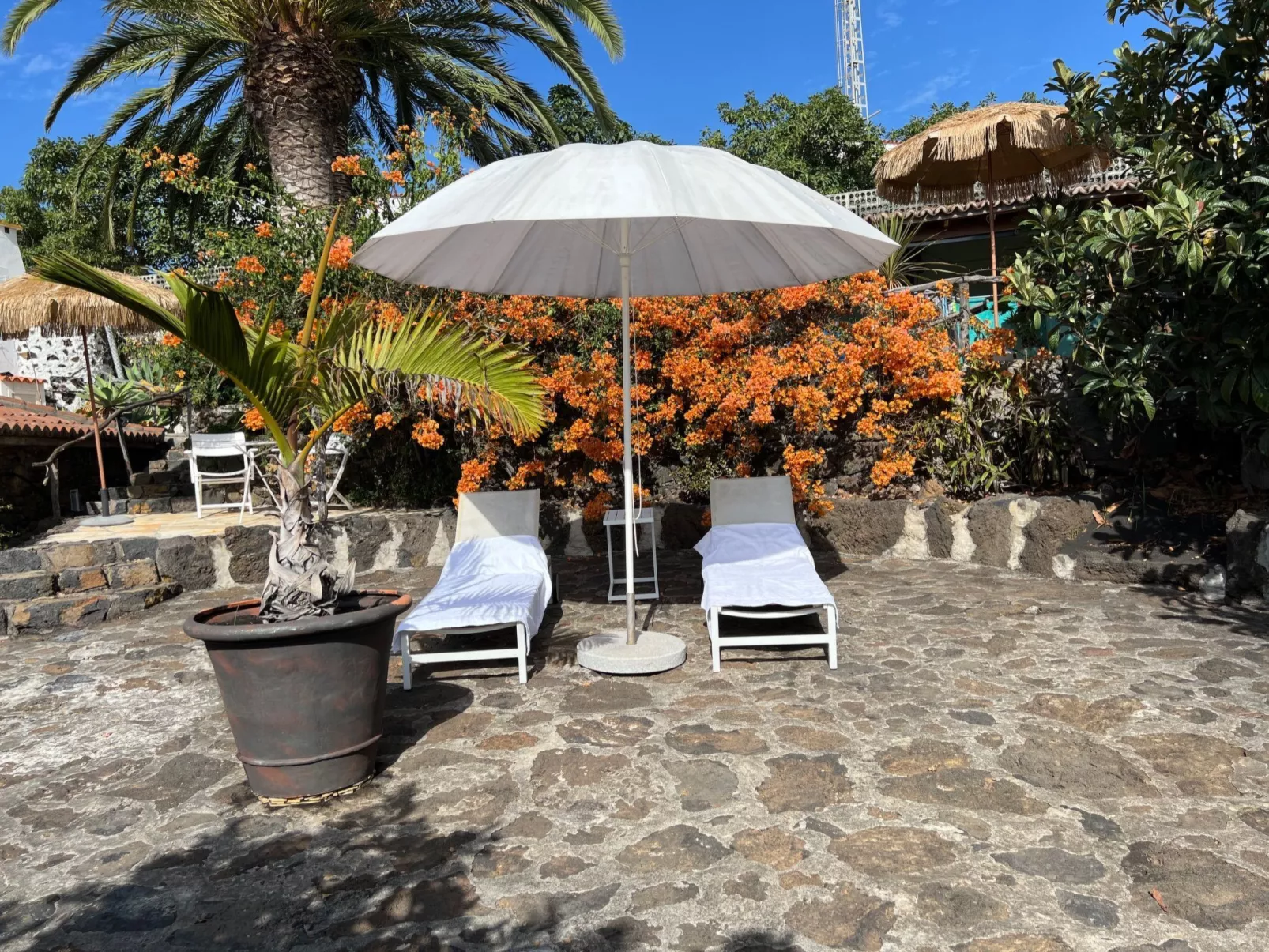 Casa Jardín Tropical - Image-tags.info