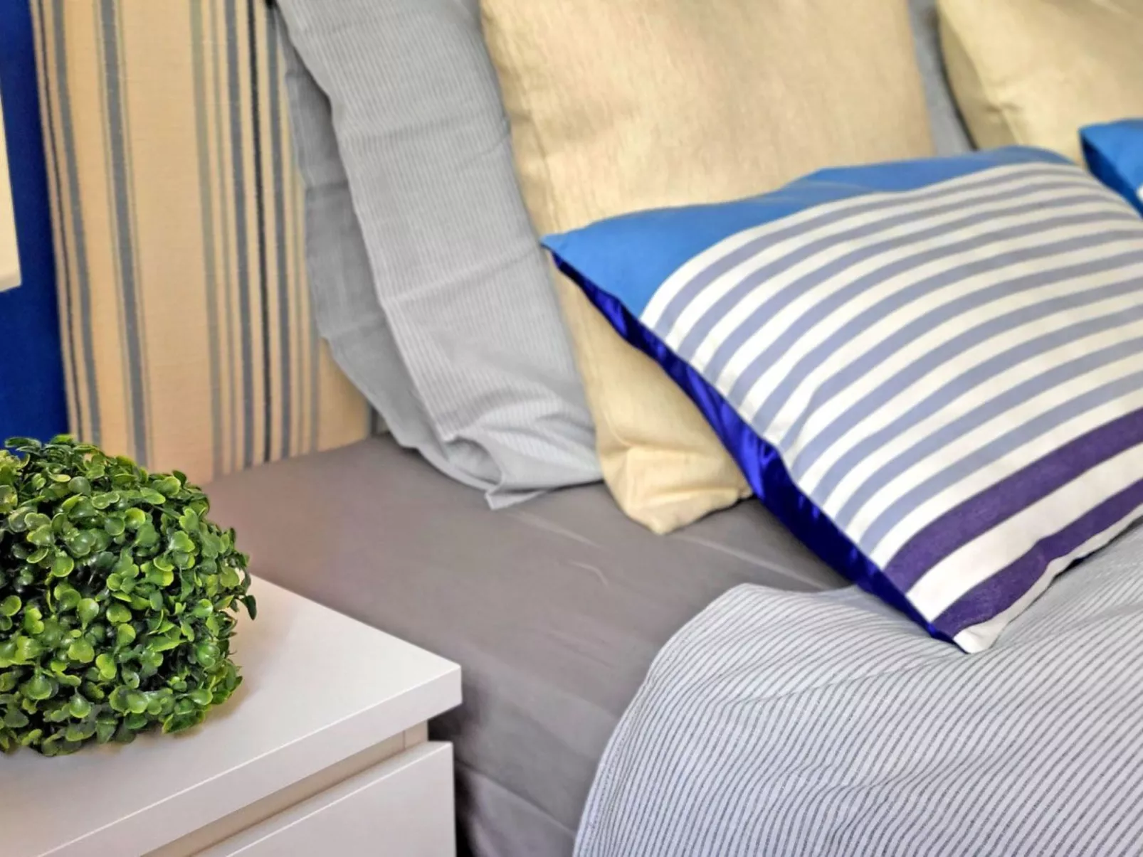 Janida Dream - Image-tags.info