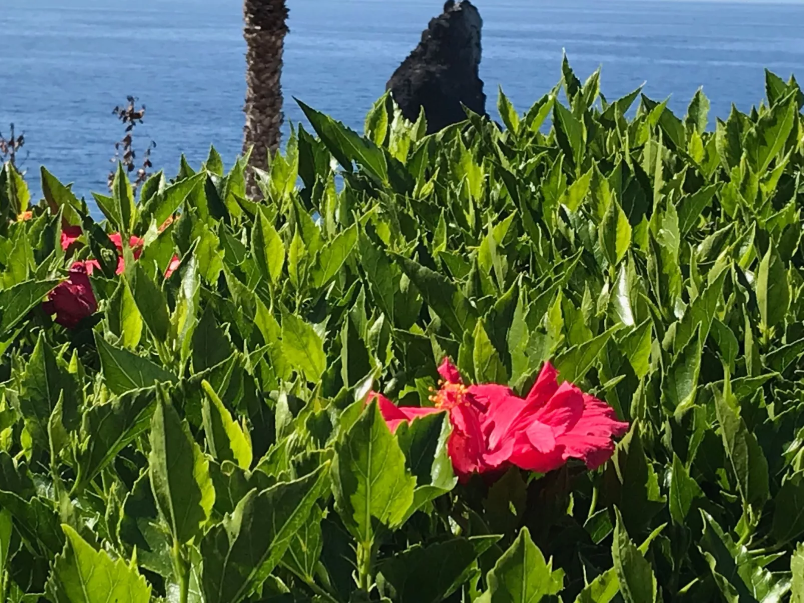 Mit Blick auf das Wasser - Image-tags.info