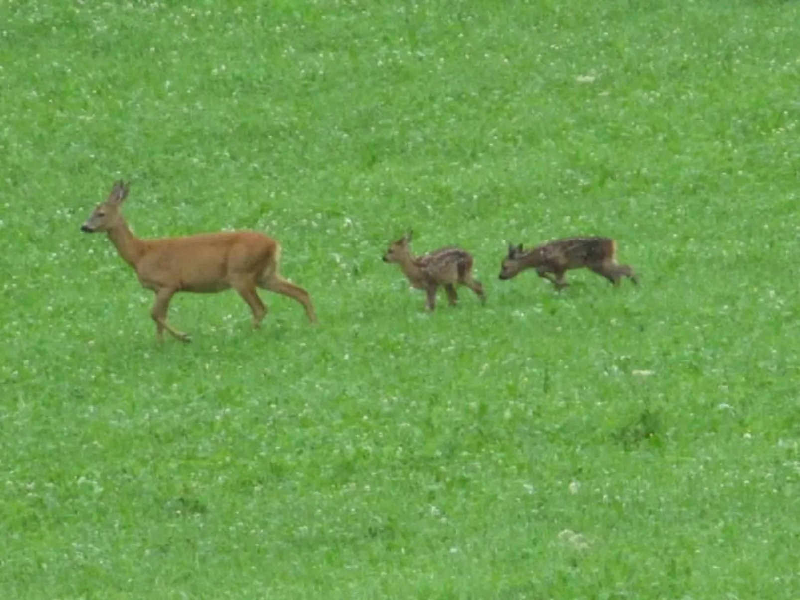 Verschlafen... in sanfte Hügel eingebettet. - Image-tags.info