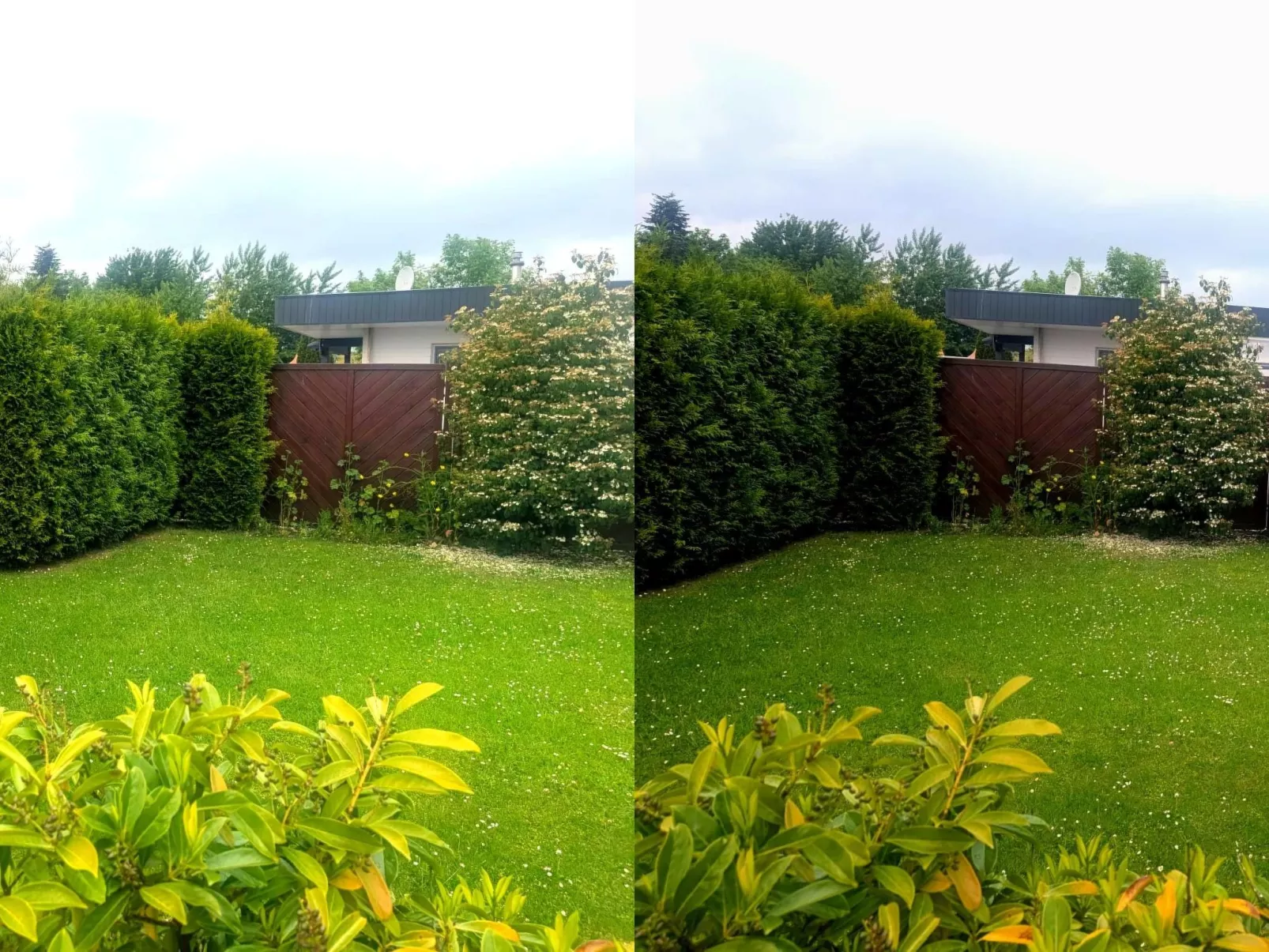 LouJa - Image-tags.info