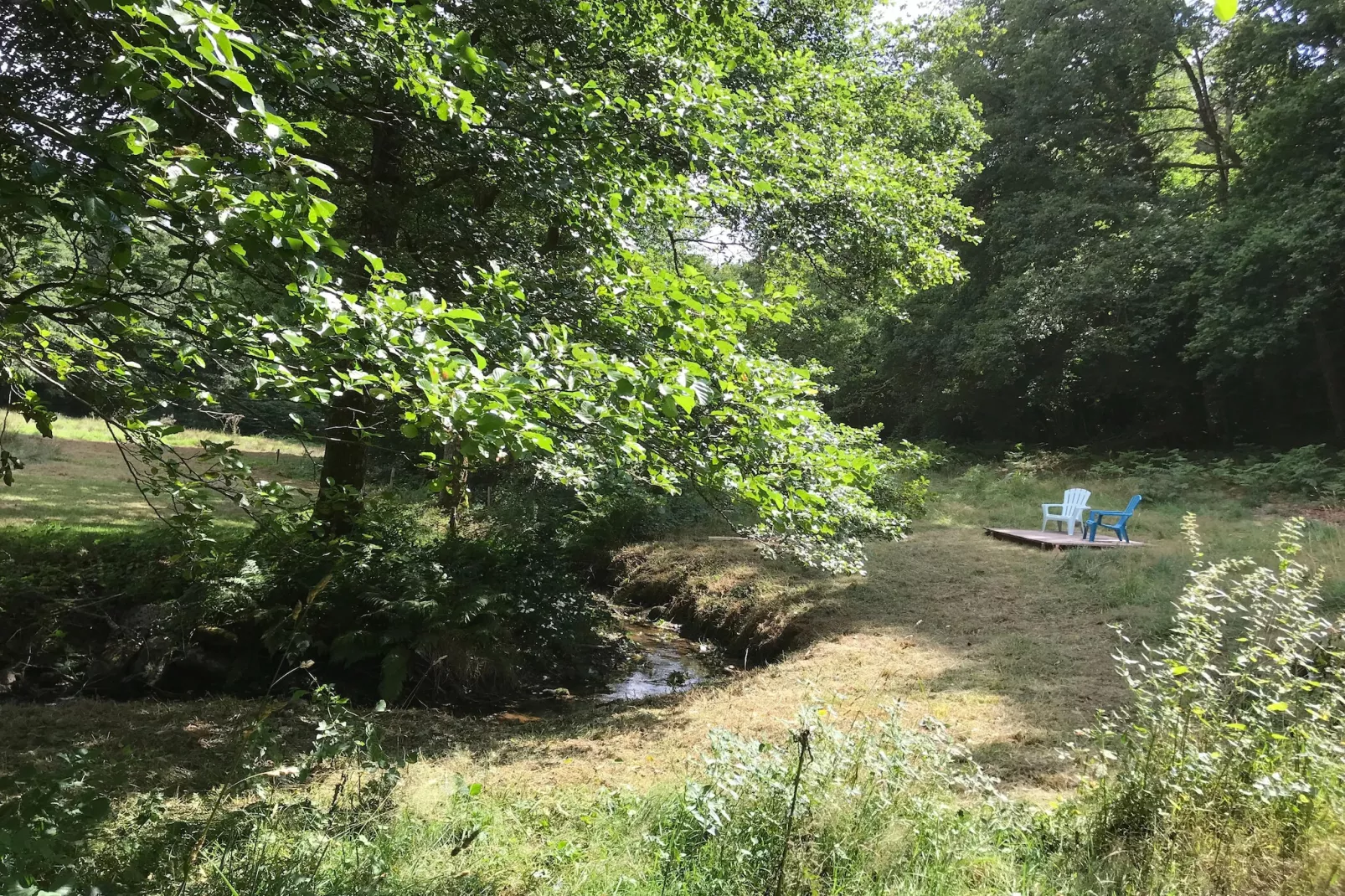 The Grange - Gardens in summer