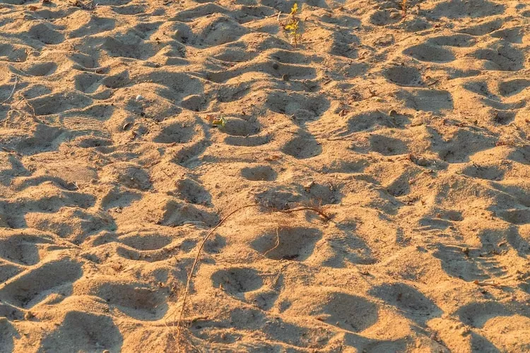 Seewind / 8 Personen-Zones été à 1 km