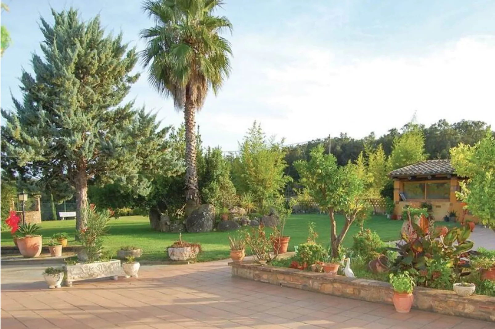 Villa Mas Artigues - Gardens in summer