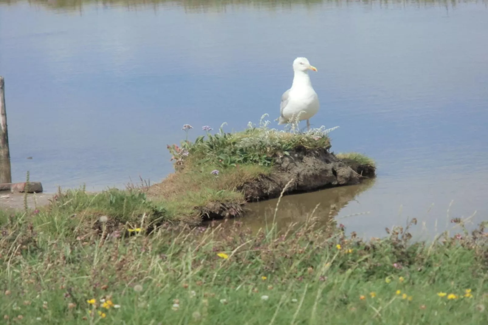 46450-Image-tags.water view