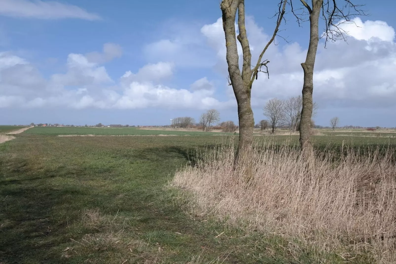 389318-Areas within 5km in summer