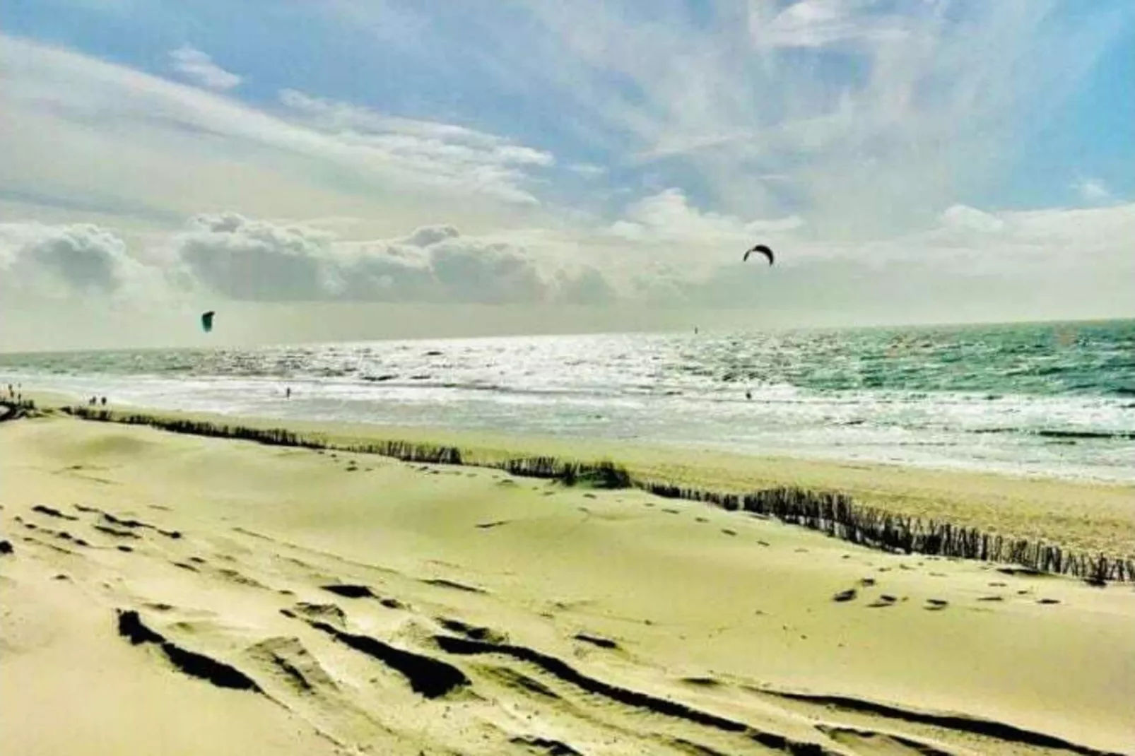 139423-Areas within 5km in summer