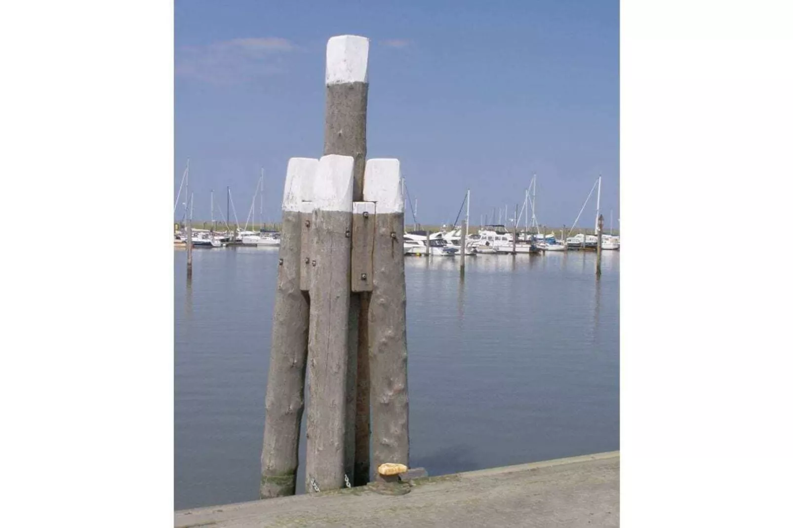 47462-Areas within 5km in summer