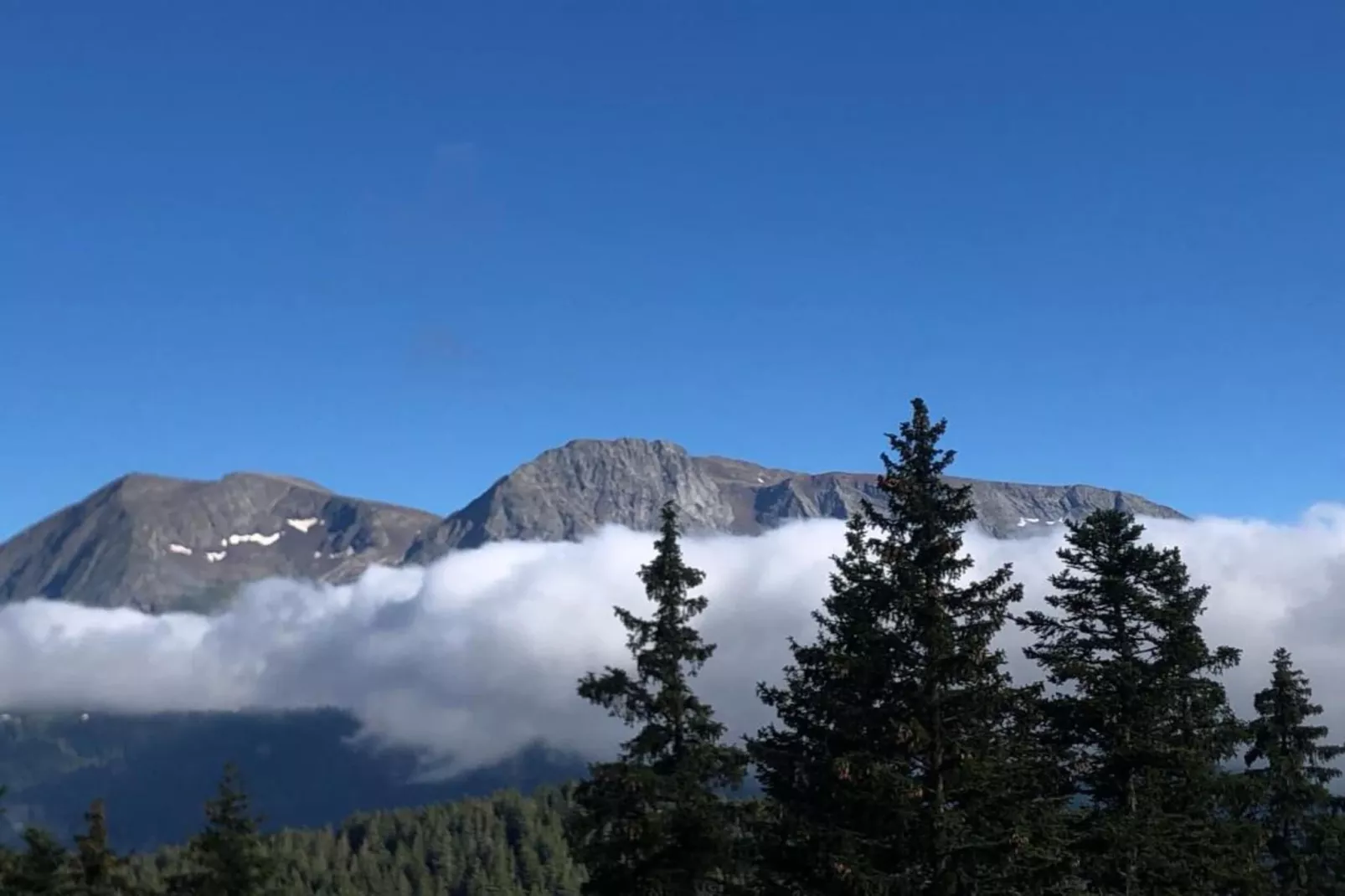 Le Vernon N°721 - ST4-Areas within 5km in summer