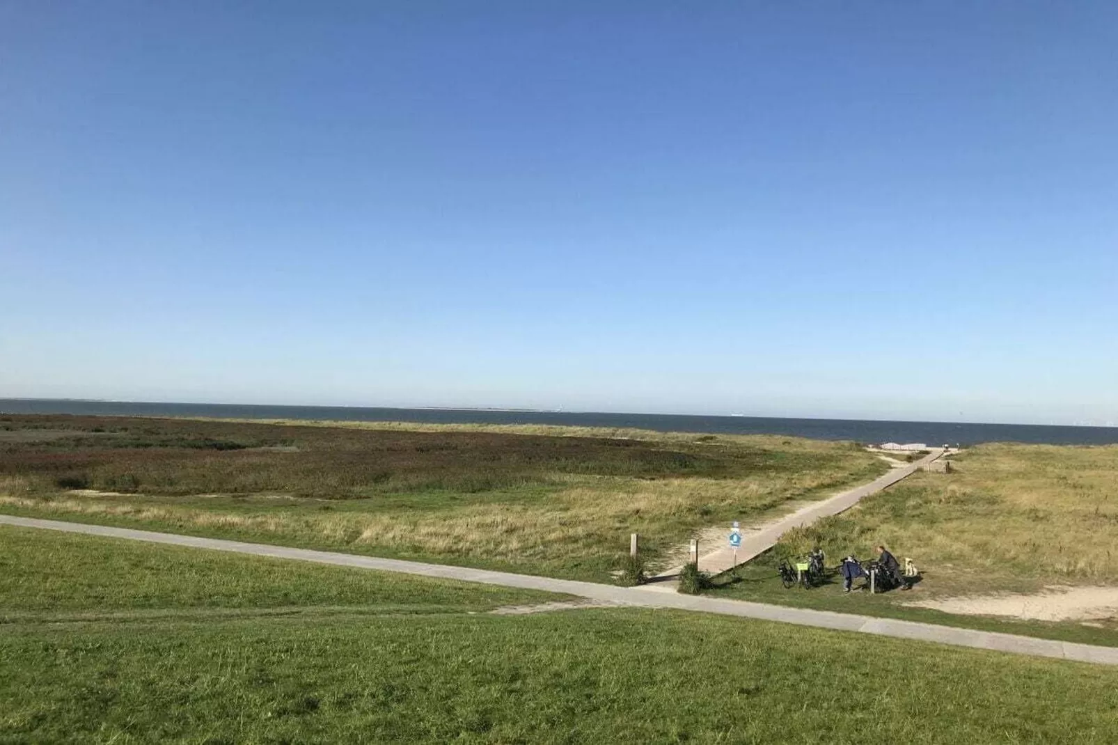 293990-Areas within 5km in summer