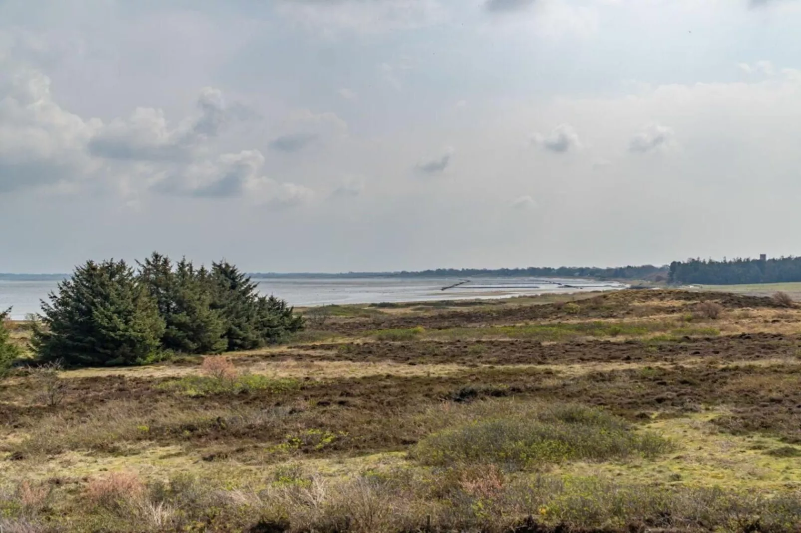 329926-Gebiete Sommer 1 km