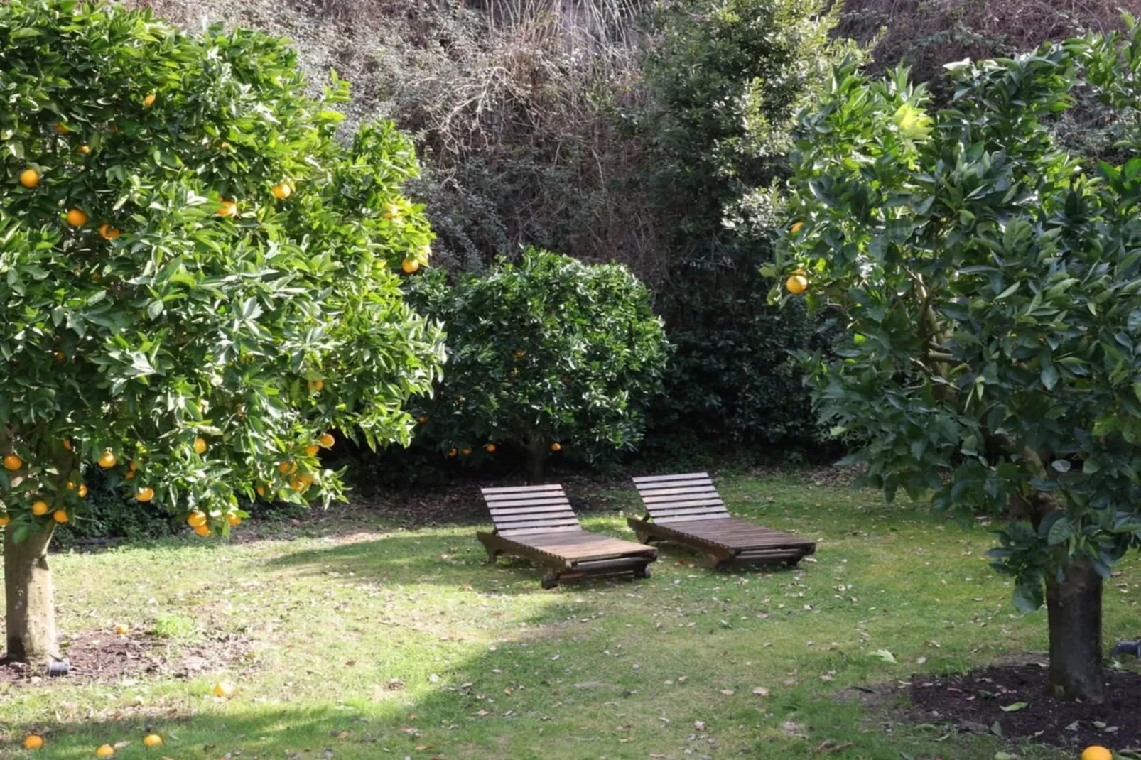 Villa Vinarte-Jardins en été