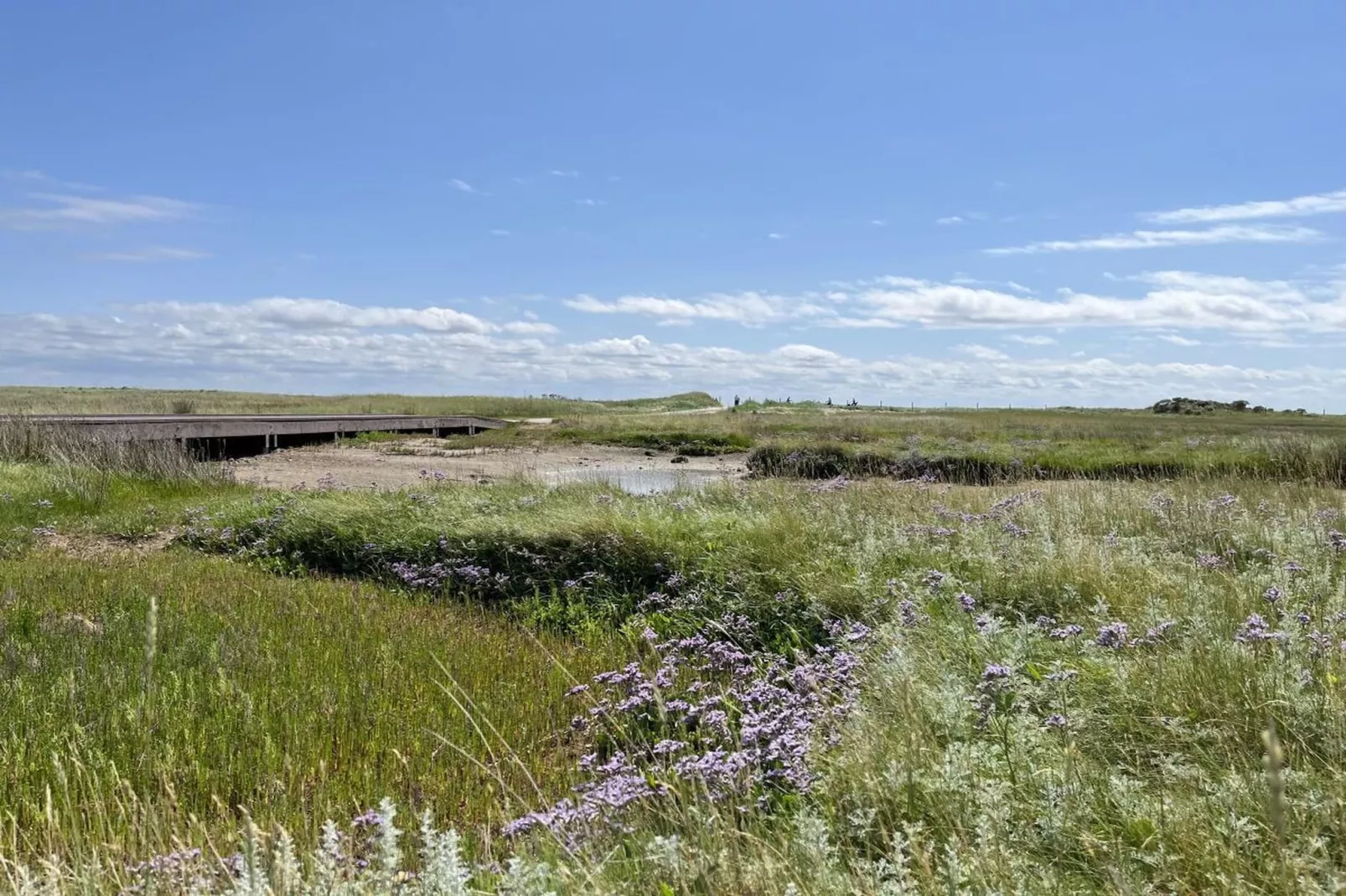 581070 - Gebiete Sommer 5 km