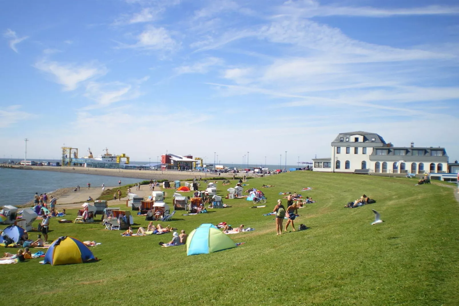 4315-Jardins en été