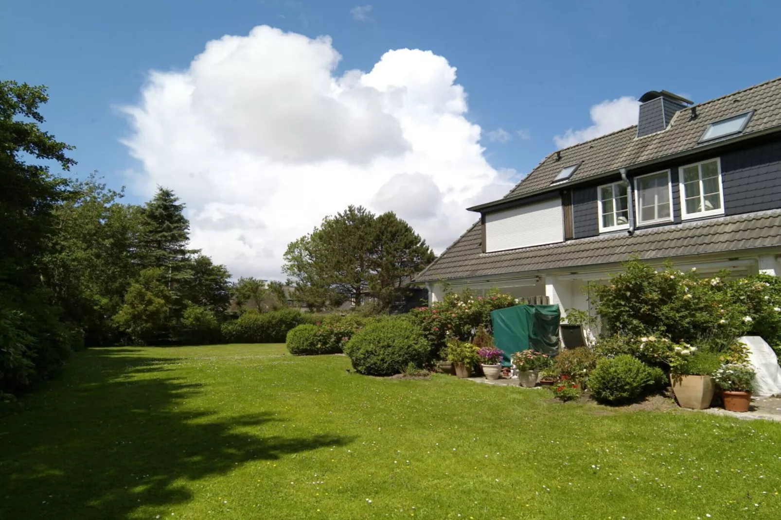 113868-Außenbereich Sommer