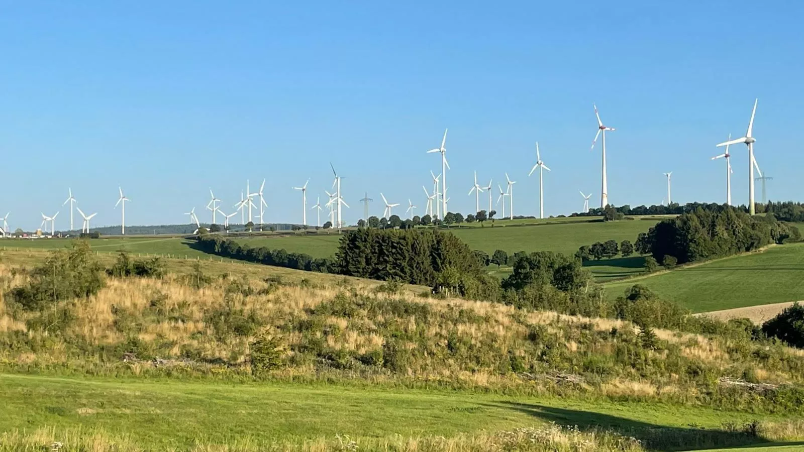 Veronica-Aussicht Sommer