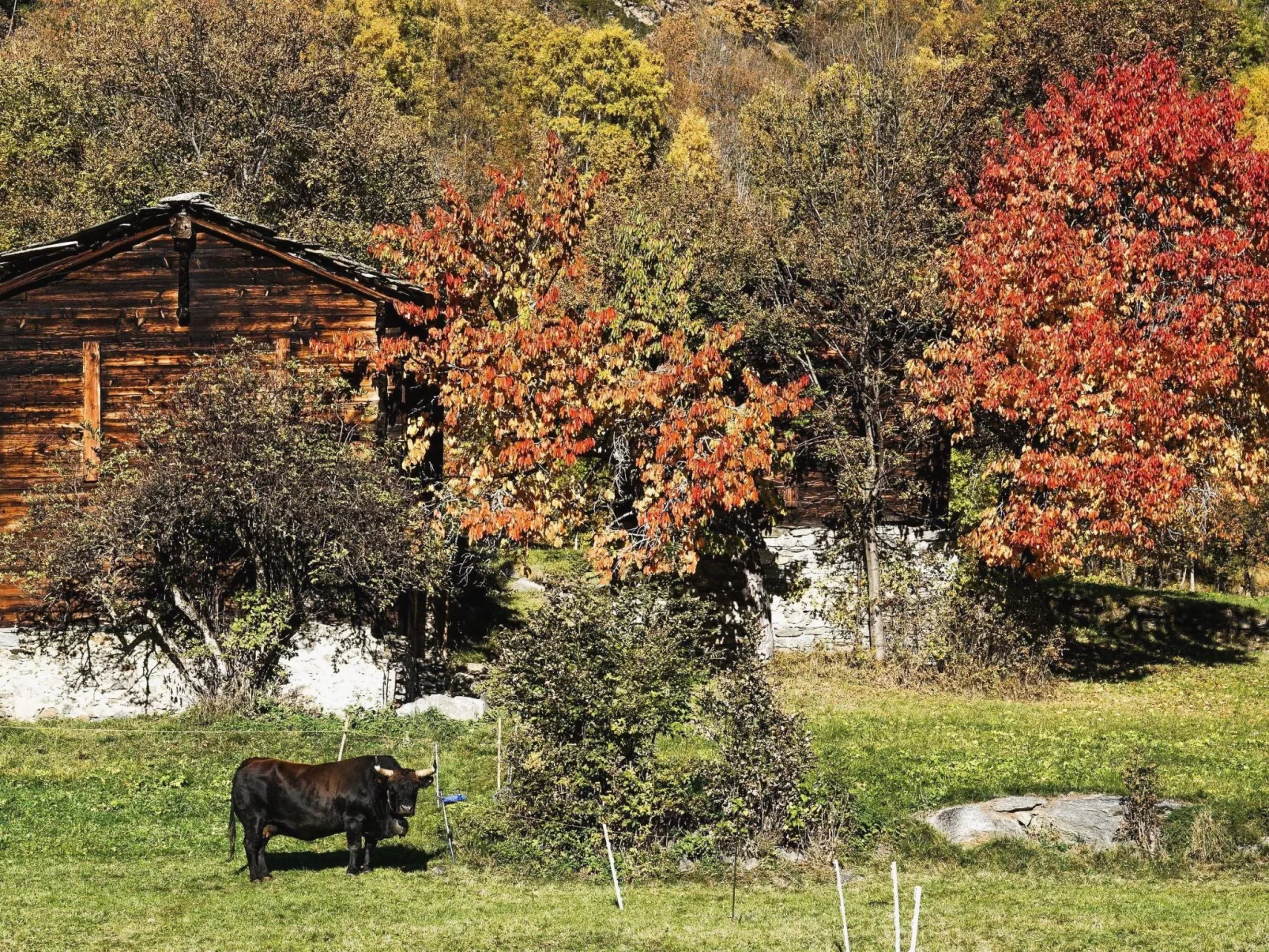 Chalet 1679 - Outside