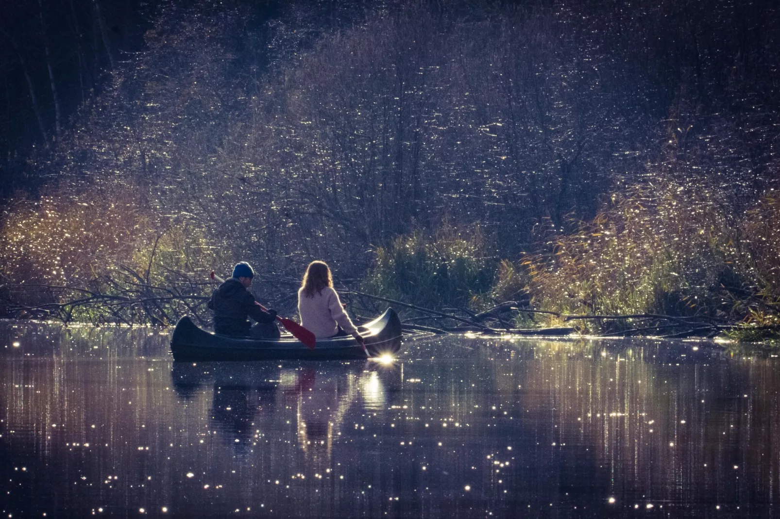 The Farm-Areas within 5km in summer