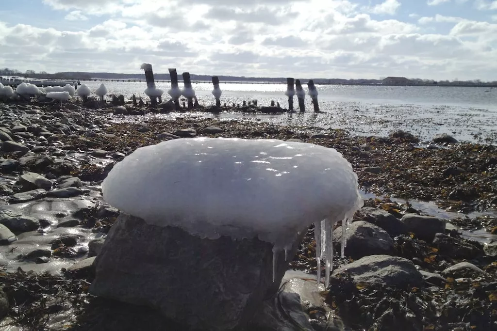 58009-Nicht zugeordnet