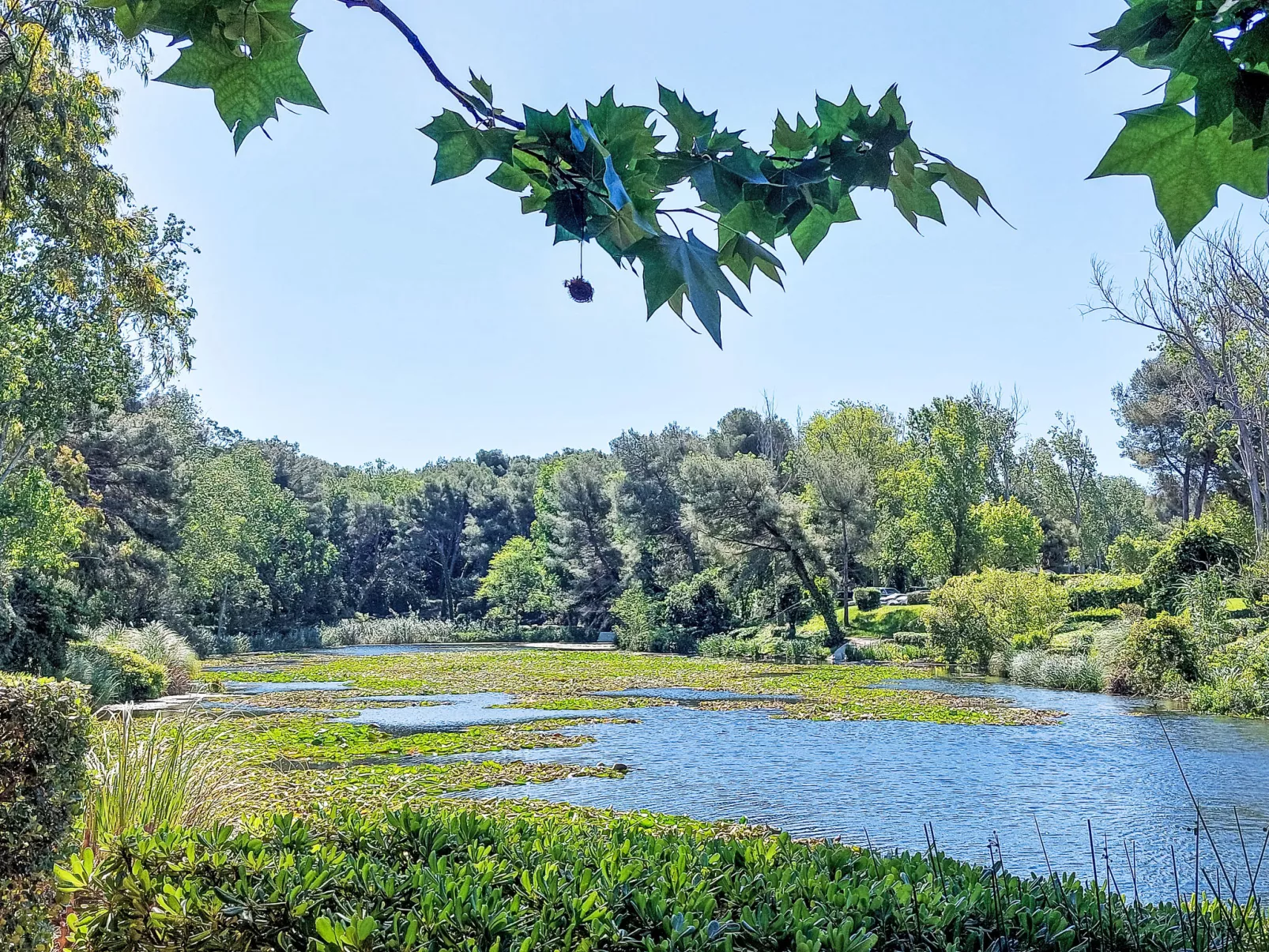 Les Rivages de Coudoulière - Drinnen