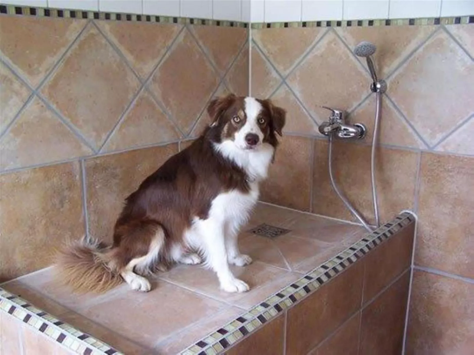 Landgut mit Dachterrasse - Inside