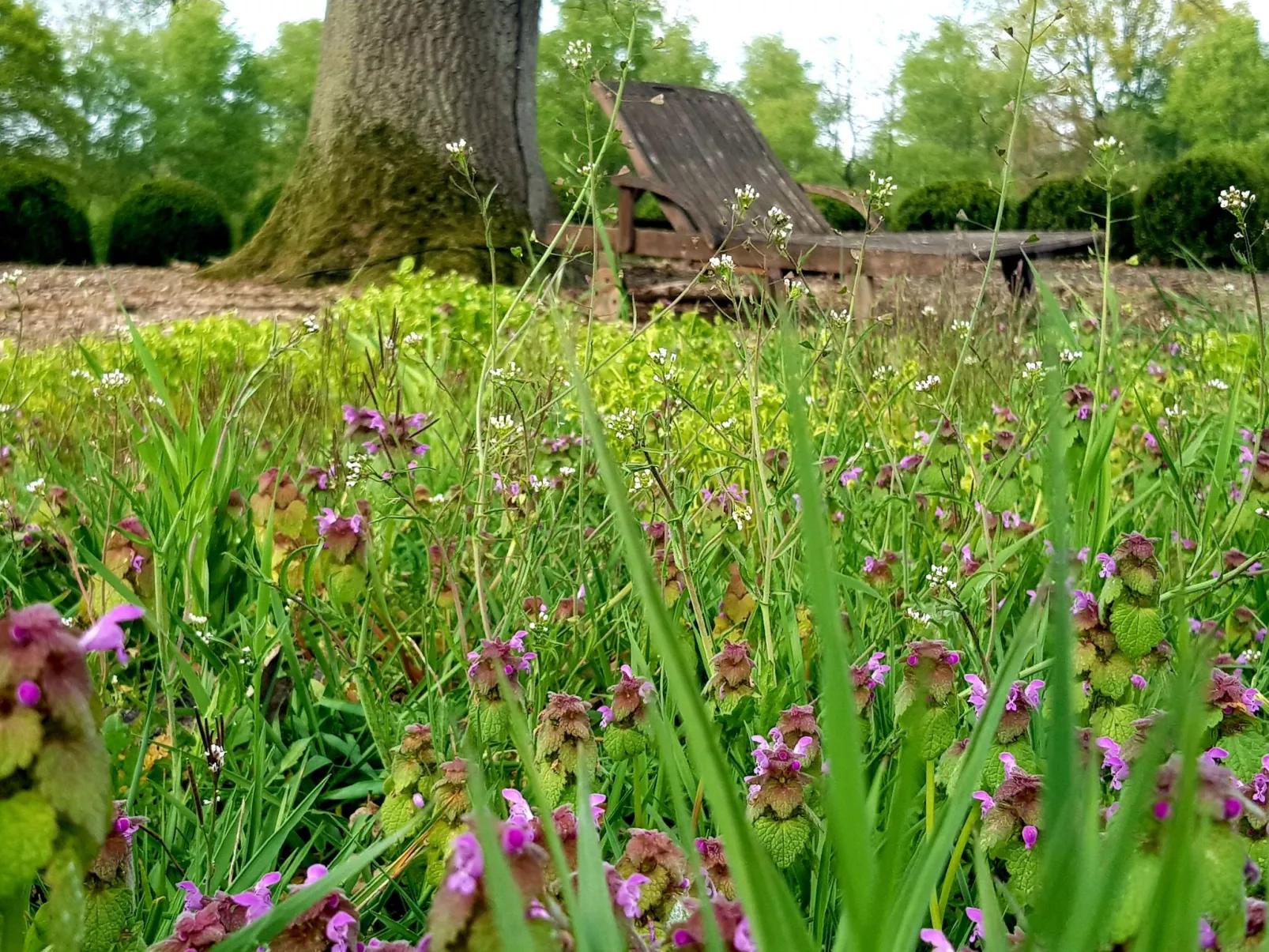 Luxuszeit zu Zweit - Image-tags.info