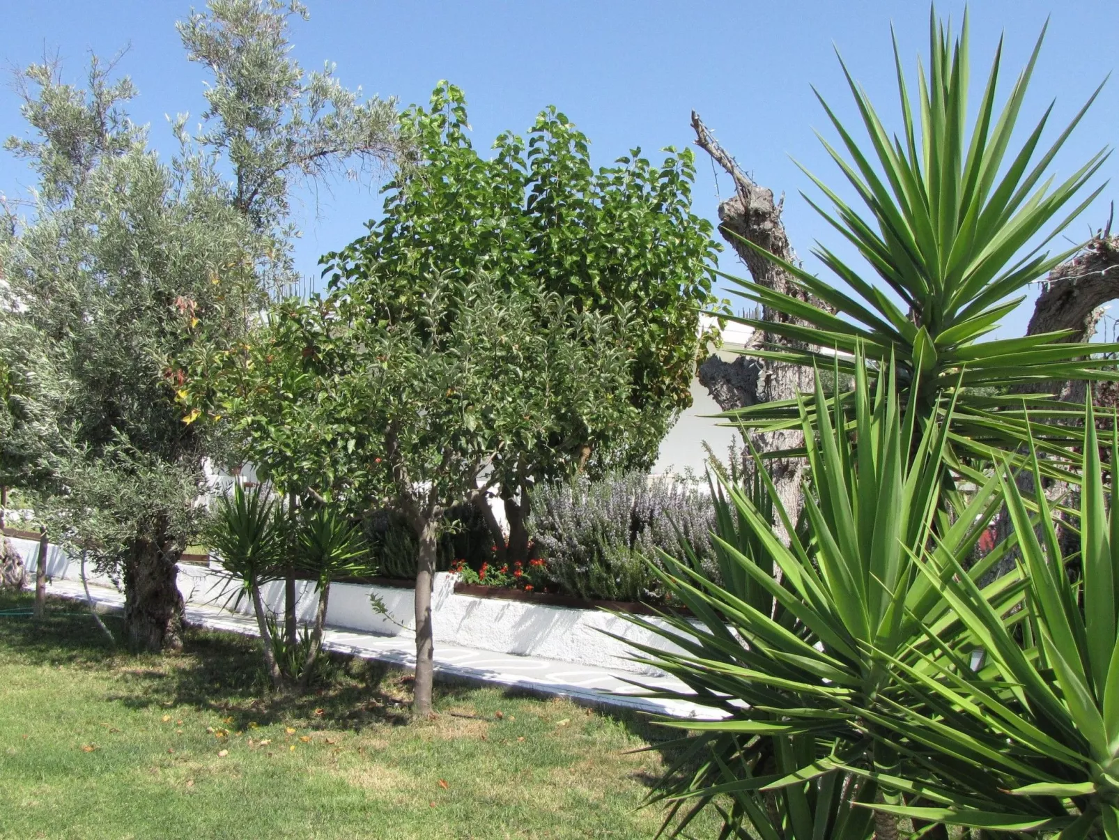 Skiathos Ferienhaus - Drinnen