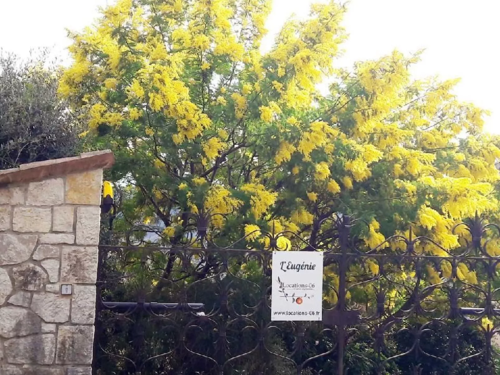 Locations-06 - Die Eugenie - Image-tags.info