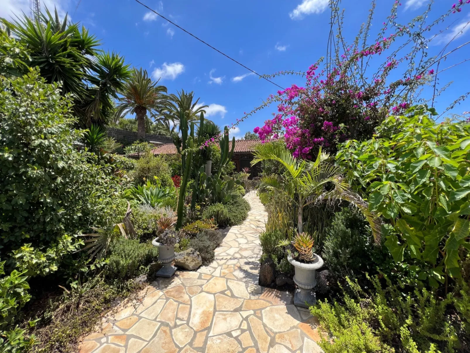 Casa Jardín Tropical - Image-tags.info