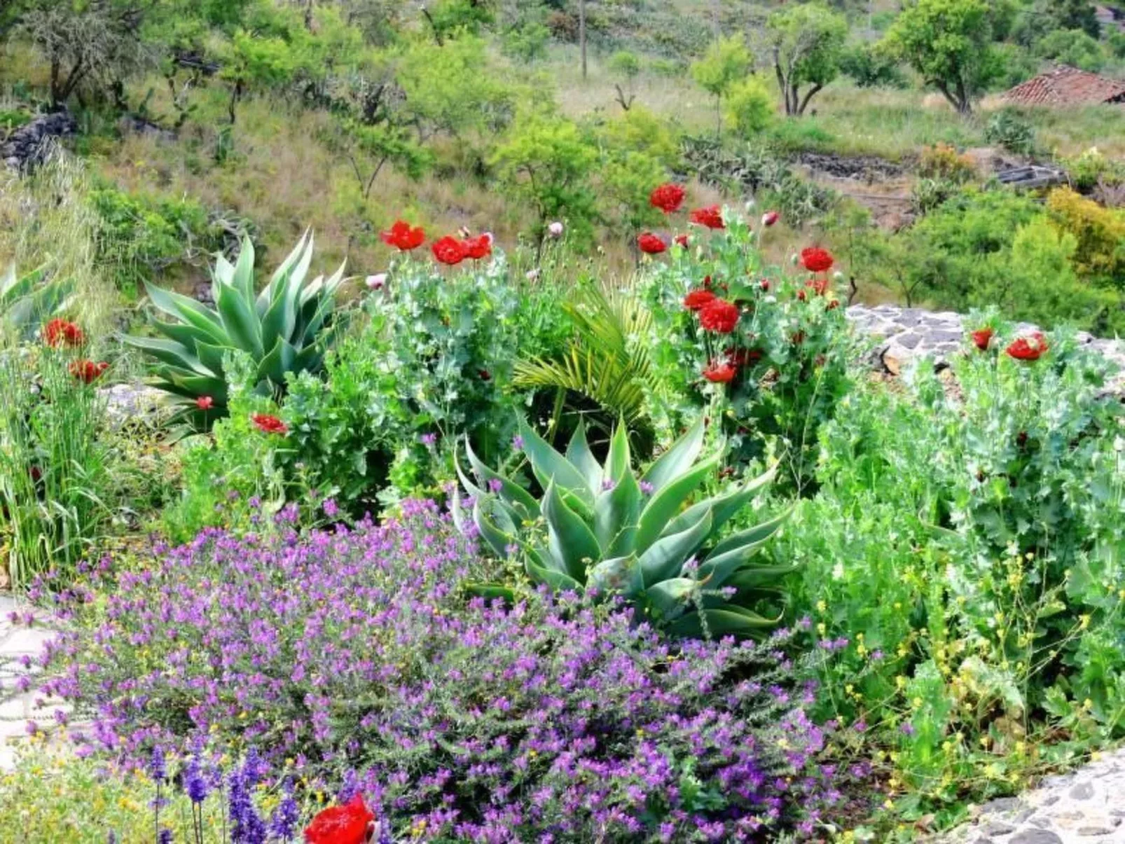 Villa Atlantico - Image-tags.info